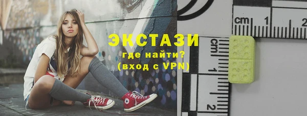 СК Вязьма