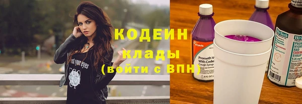СК Вязьма
