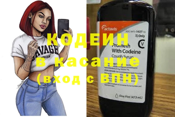 СК Вязьма