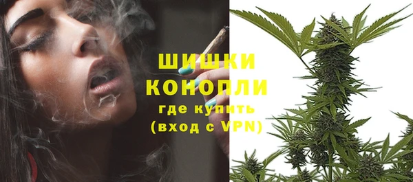 СК Вязьма